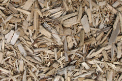 biomass boilers Codnor
